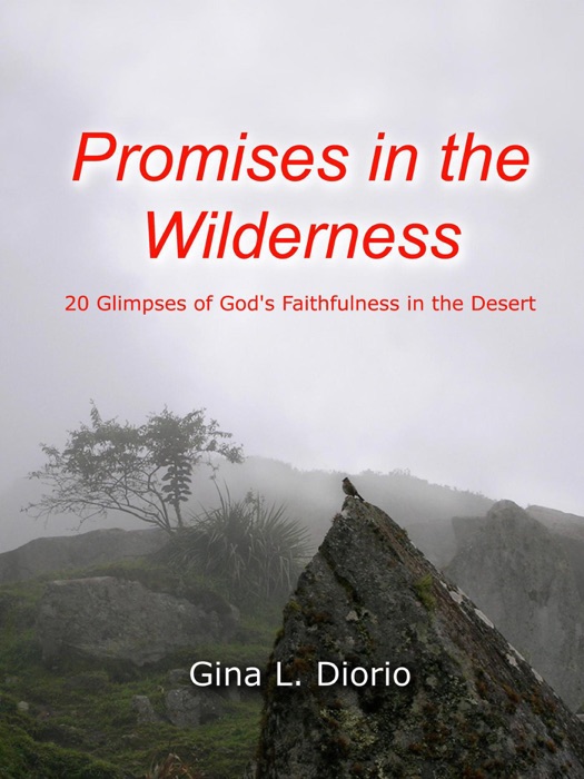 Promises in the Wilderness