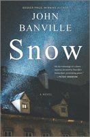 John Banville - Snow artwork