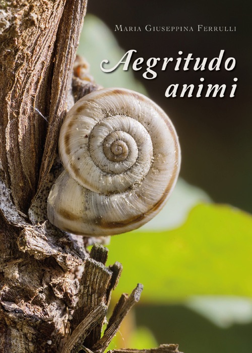 Aegritudo animi