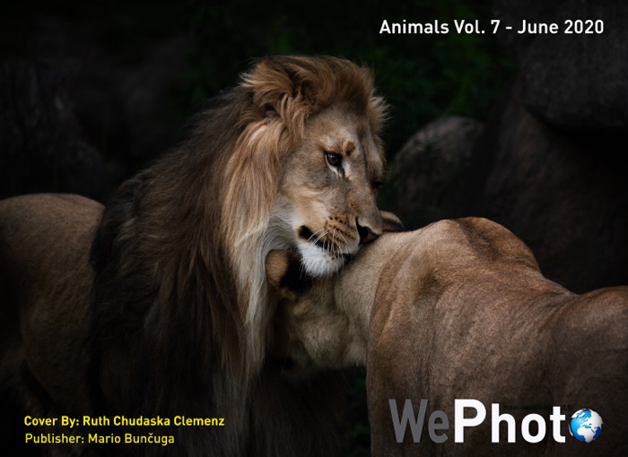 WePhoto Animals vol 7