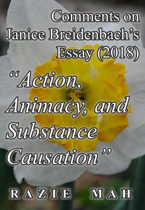 Comments on Janice Breidenbach’s Essay (2018) 