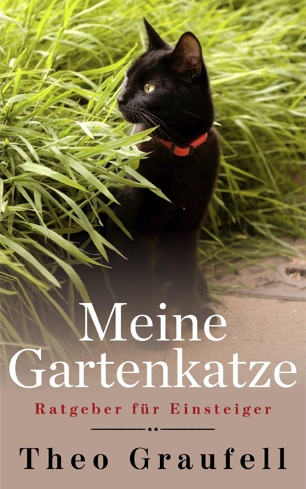 Meine Gartenkatze