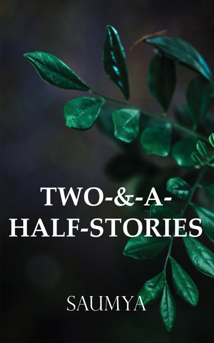 Two-&-A-Half-Stories