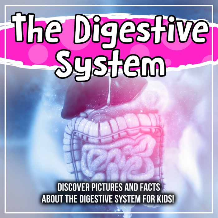 The Digestive System: Discover Pictures and Facts About The Digestive System For Kids!