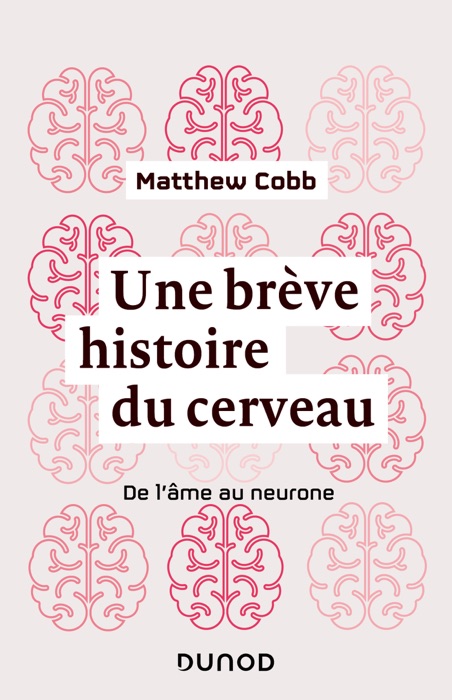 Une brève histoire du cerveau