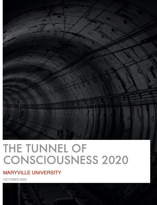 The Tunnel of Consciousness 2020