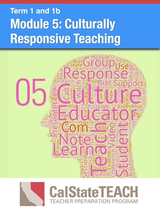 Module 5: Culturally Responsive Teaching