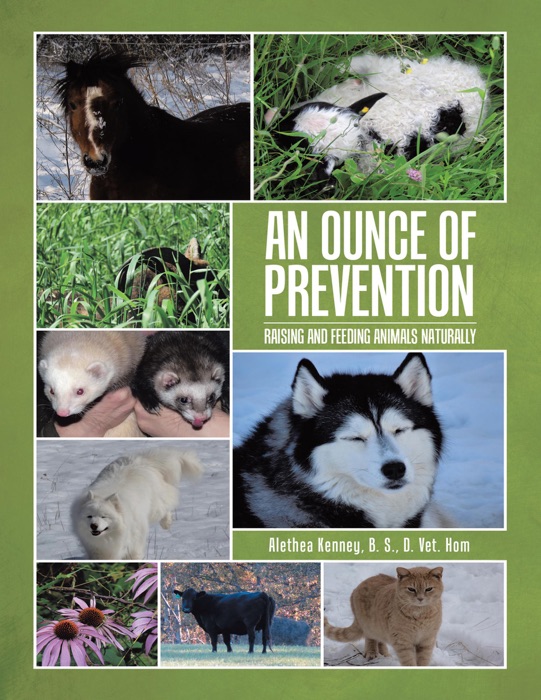 An Ounce of Prevention: Raising and Feeding Animals Naturally