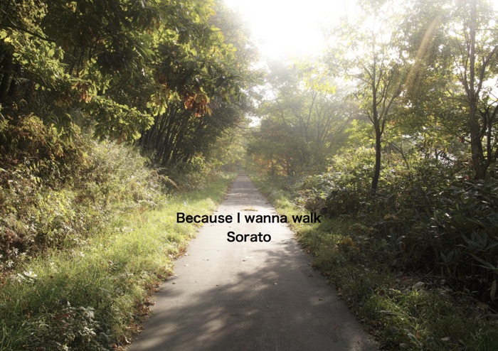 Because I wanna walk