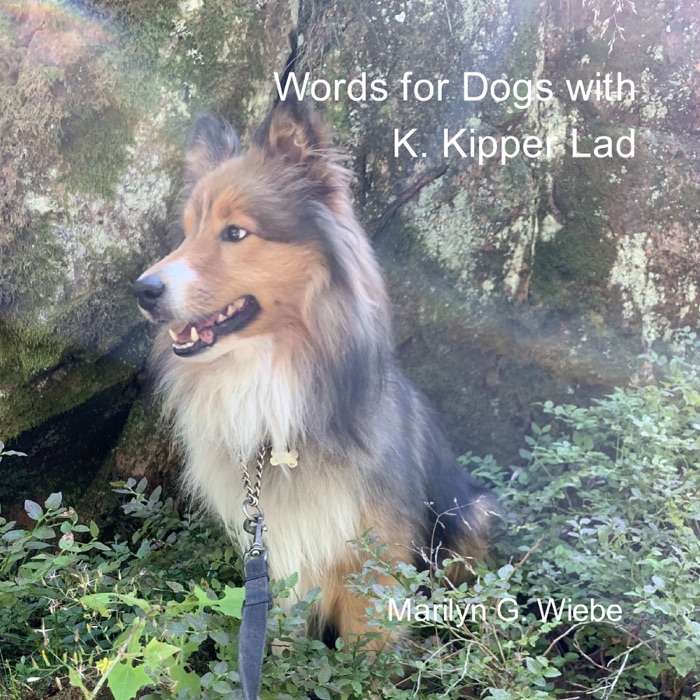 Words for Dogs with K. Kipper Lad