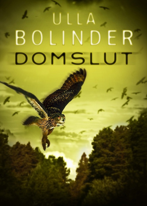 Domslut