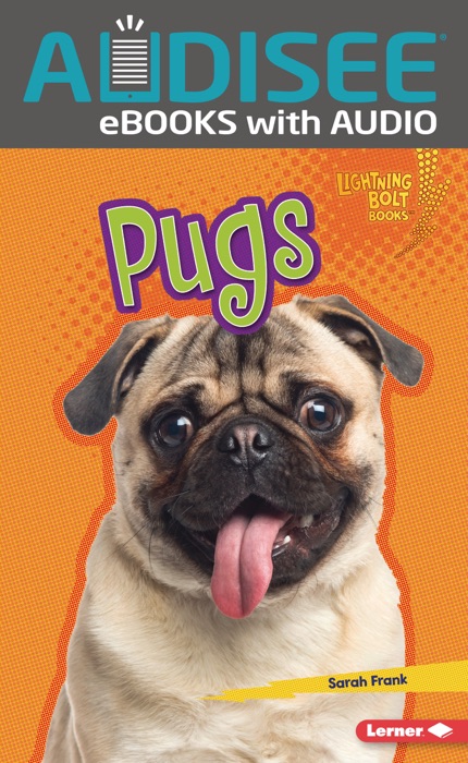 Pugs (Enhanced Edition)
