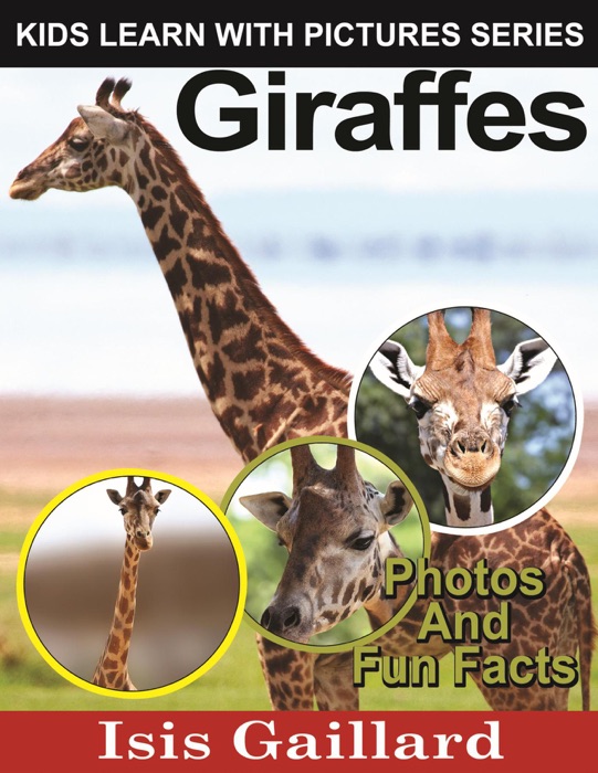 Giraffes Photos and Fun Facts for Kids