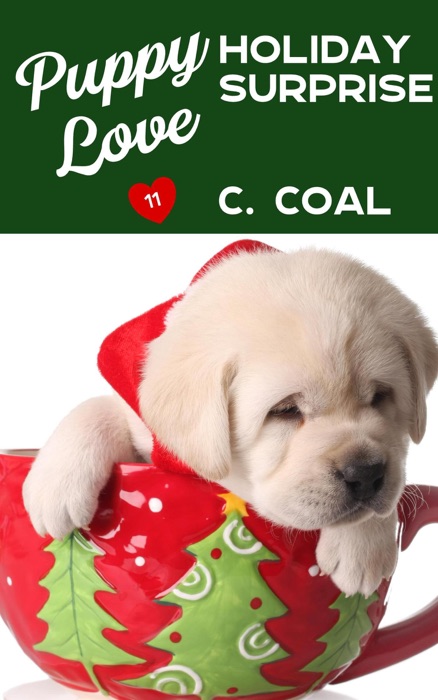 Puppy Love Holiday Surprise