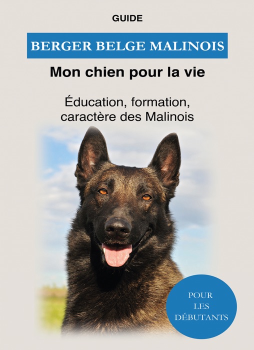 Berger Belge Malinois