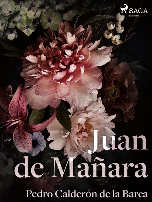 Juan de Mañara