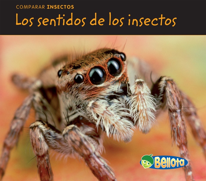 Los sentidos de los insectos