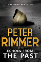 Peter Rimmer - Echoes from the Past artwork