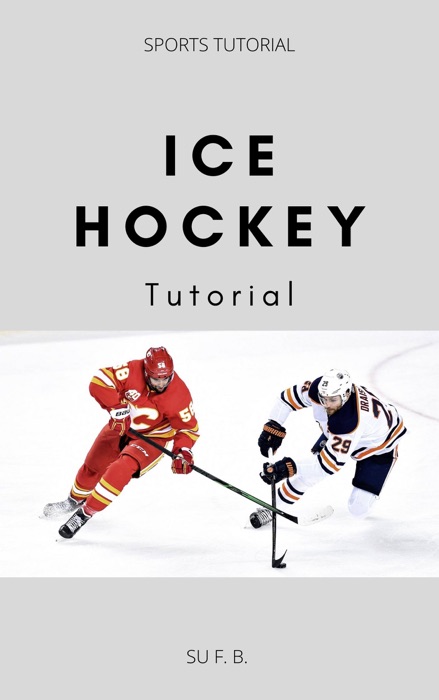 Ice Hockey Tutorial