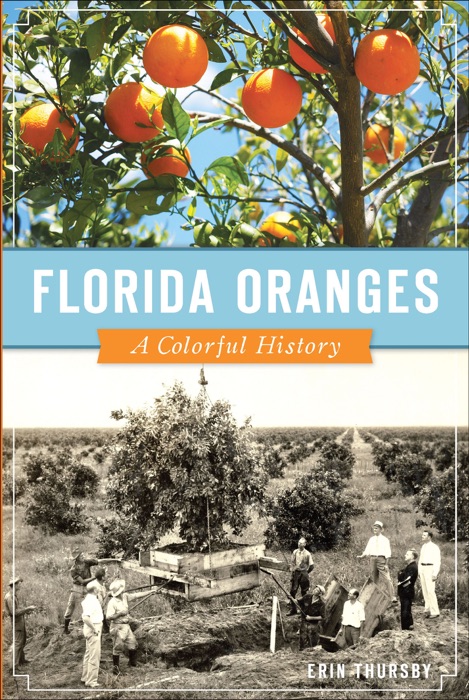 Florida Oranges