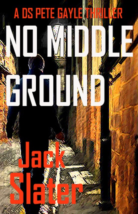 No MIddle Ground (DS Peter Gayle crime thrillers, Book 5)