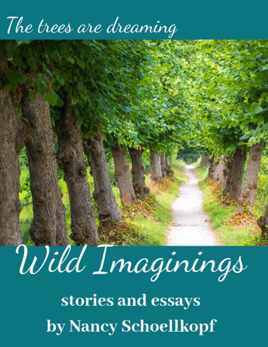 Wild Imaginings - Flash Fiction and Essays