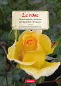 Le rose - Mimma Pallavicini