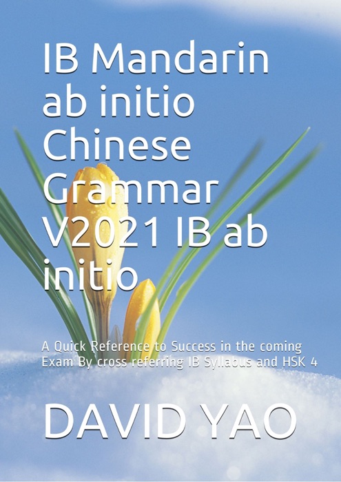 IB Mandarin ab initio Chinese Grammar V2021 IB ab initio 中文语法