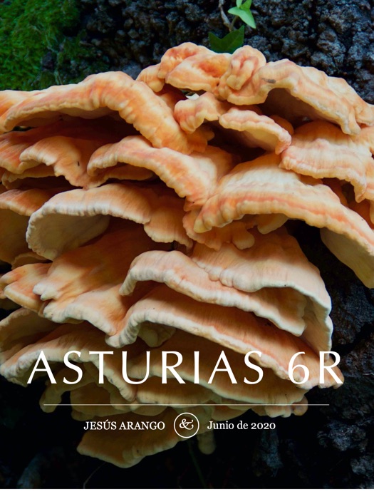 Asturias 6R