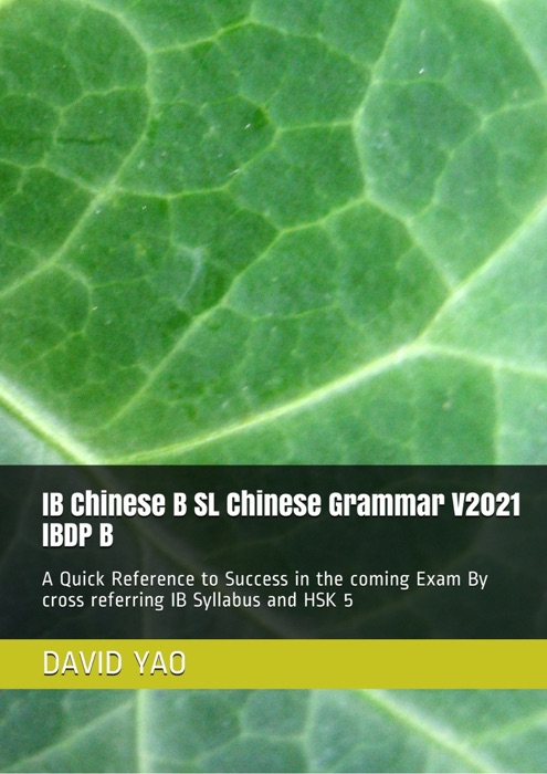 IB Chinese B SL Chinese Grammar V2021 IBDP B 中文语法