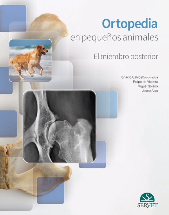 Ortopedia en pequeños animales. El miembro posterior