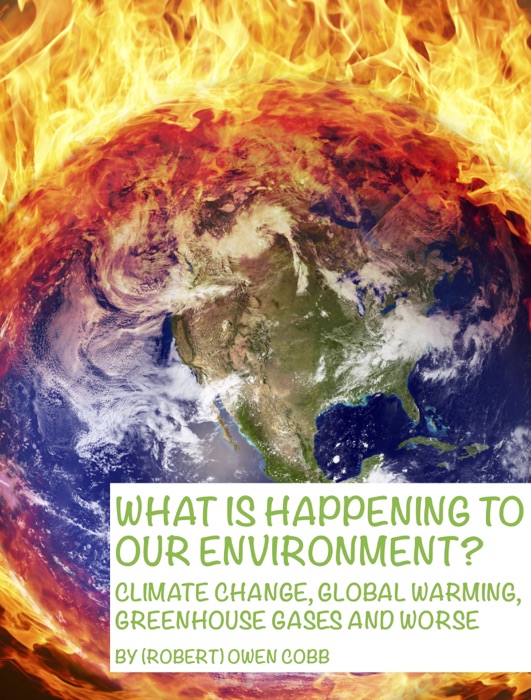 What Is Happening To Our Enviromment?
