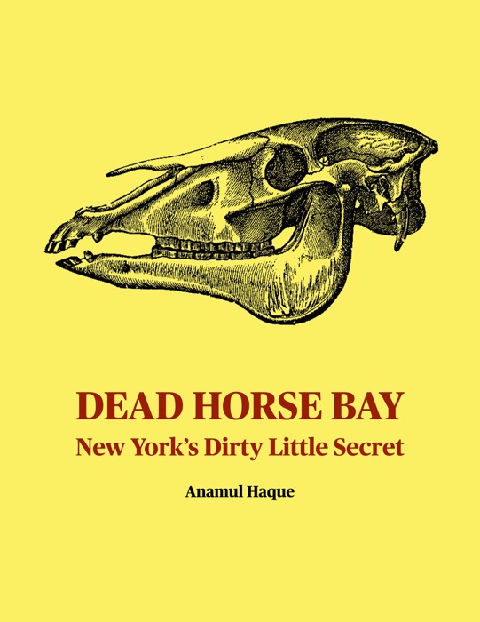 Dead Horse Bay