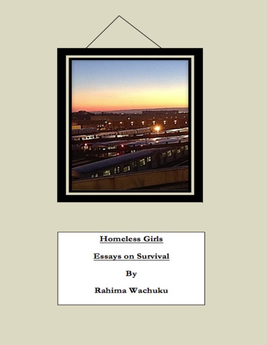 Homeless Girls: Essays on Survival