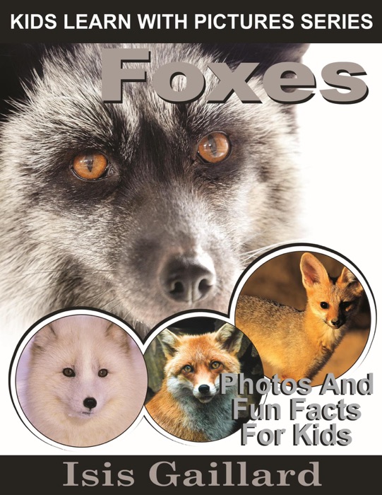 Foxes Photos and Fun Facts for Kids