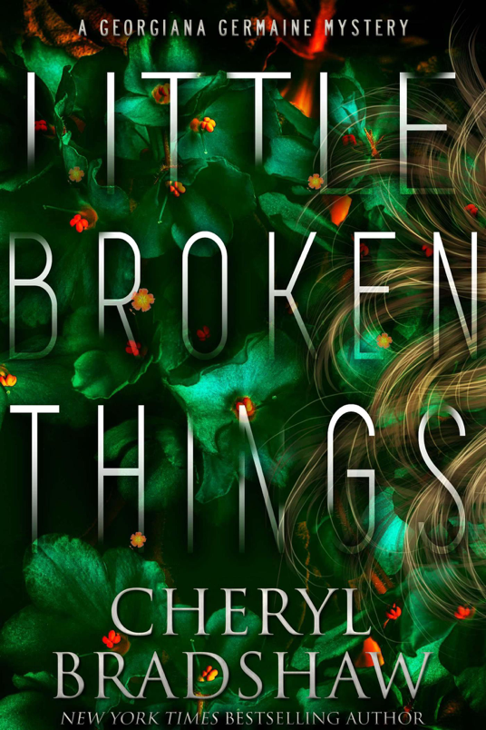 Read book Little Broken Things