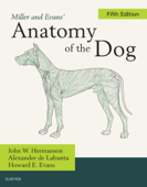 Miller and Evans' Anatomy of the Dog - E-Book - John W. Hermanson, Howard E. Evans PhD & Alexander de Lahunta DVM, PhD