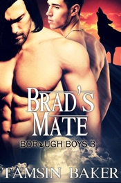 Brad's Mate