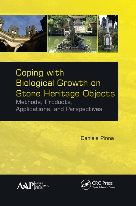 Coping with Biological Growth on Stone Heritage Objects