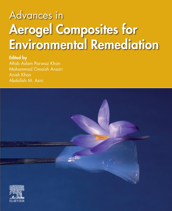 Advances in Aerogel Composites for Environmental Remediation (Enhanced Edition)
