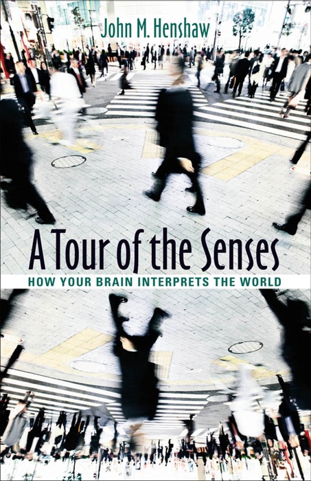 A Tour of the Senses