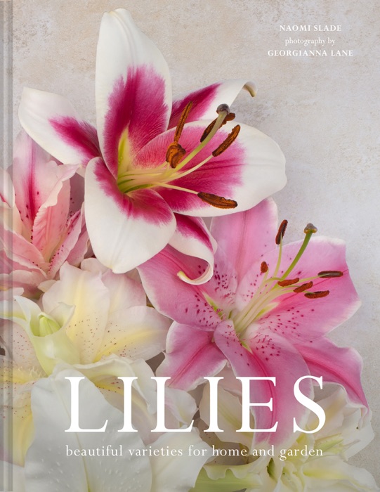 Lilies