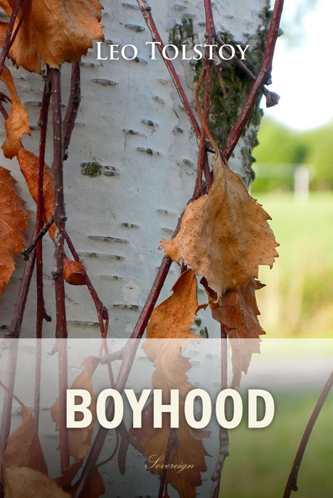 Boyhood