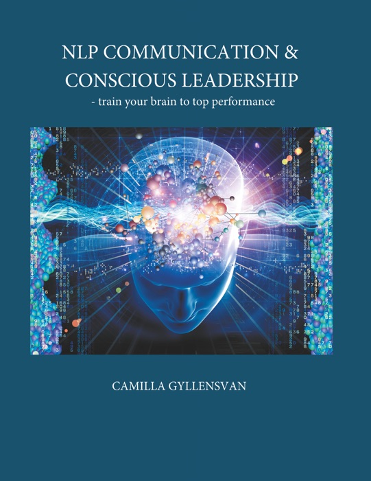 NLP Communication & conscious leadership