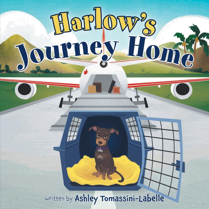 Harlow's Journey Home