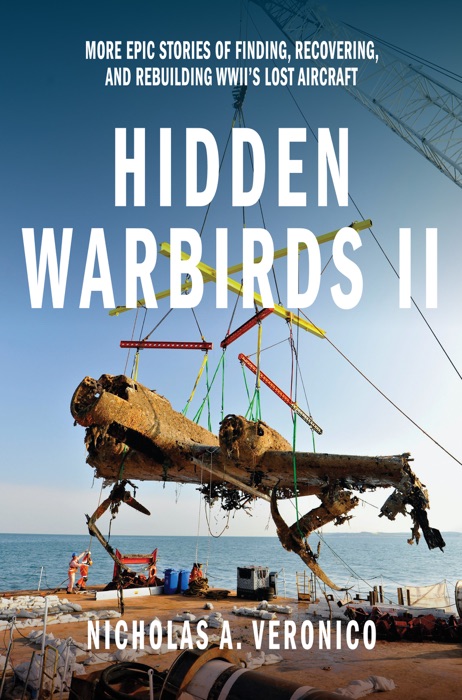 Hidden Warbirds II