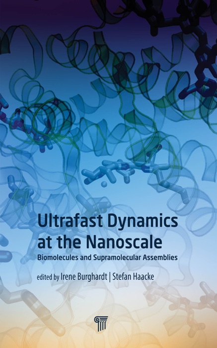 Ultrafast Dynamics at the Nanoscale