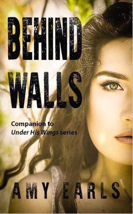 Behind Walls