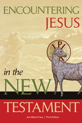 Encountering Jesus in the New Testament [Third Edition]