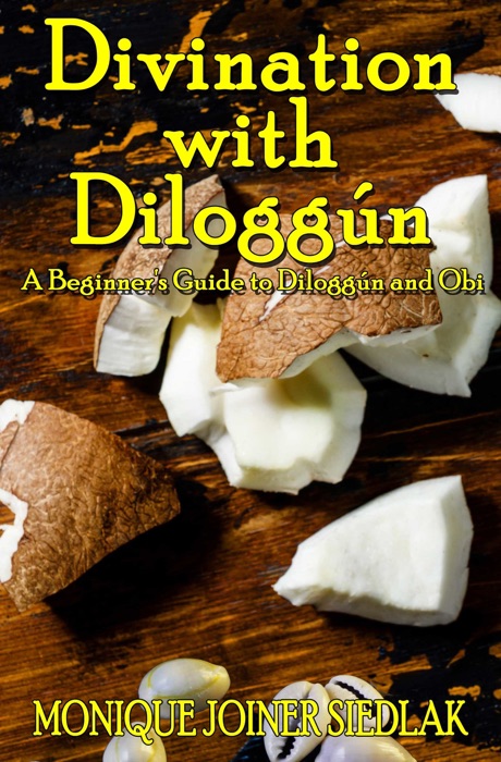Divination with Diloggún: A Beginner's Guide to Diloggún and Obi